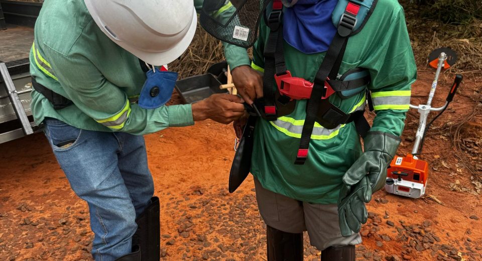 0fdf474d-5735-4fc7-b435-aebcc6677c2a