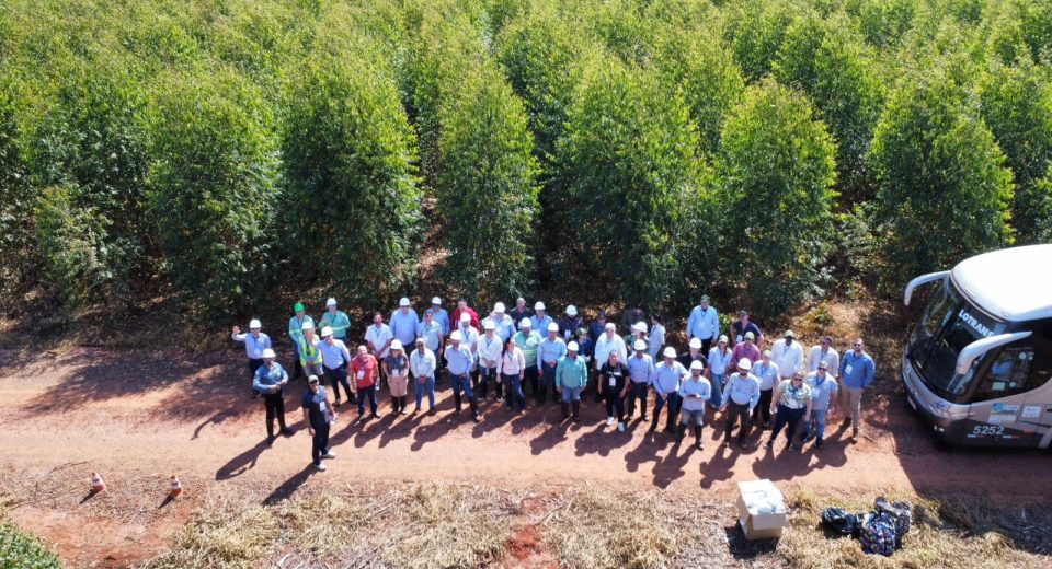 1d867d0f-26d8-4ded-a72f-b5774bf4c1b8 (1)